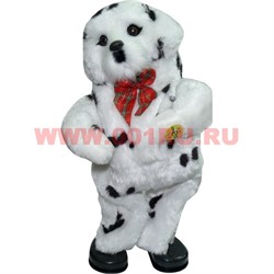 Собака танцует и поет 18 песен - фото 112901