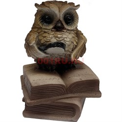 Фигурка «Сова на книгах» (С15) из полистоуна - фото 128992