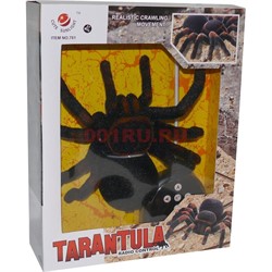 Игрушка "Паук" на пульте управления, на батарейках 8+ - фото 143560