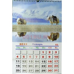 Календарь Символ года из плотной бумаги Символ 2021 года 200 шт/кор - фото 153774