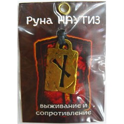 Руна Наутиз металлическая выживание и сопротивление - фото 156742