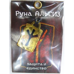 Руна Альгиз металлическая защита и единство - фото 156752