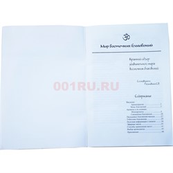 Брошюра Мир Восточных Благовоний 48 стр - фото 186542