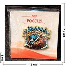 Магнит большой Россия медведь 12 шт/упаковка (M-006) - фото 227540
