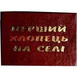 Прикол "Удостоверение перший хлопець на сели" - фото 46104