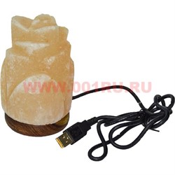 Лампа солевая "цветок" с зарядкой USB - фото 51123