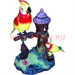 Музыкальная игрушка "2 поющих попугая" - фото 55164