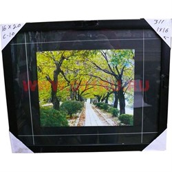 Картина в ассортименте (С10) 44х54 см, цена за 16 шт - фото 55718