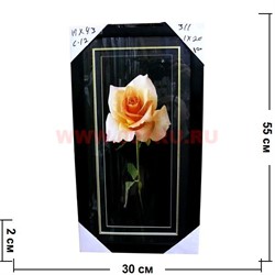 Картина в ассортименте (С11) 55х30 см, цена за 20 шт - фото 55728