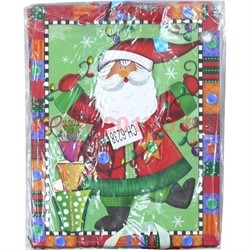 Пакет подарочный новогодний (6238) 18х23 см, цена за 12 шт - фото 59825