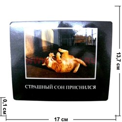 Картинка-прикол "Страшный сон приснился" - фото 85072