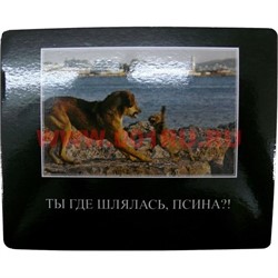 Картинка-прикол "Ты где шлялась, псина?!" - фото 85077