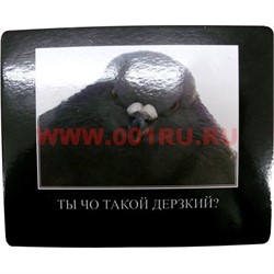 Картинка-прикол "Ты чо такой дерзкий?" - фото 85079