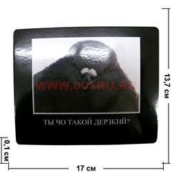 Картинка-прикол "Ты чо такой дерзкий?" - фото 85080