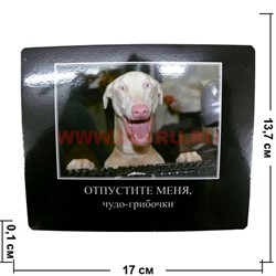 Картинка-прикол "Отпустите меня, чудо грибочки" - фото 85092