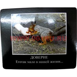 Картинка-прикол "Доверие" - фото 85115