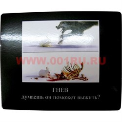 Картинка-прикол "Гнев" - фото 85119