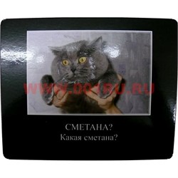 Картинки-приколы "Сметана" - фото 85264