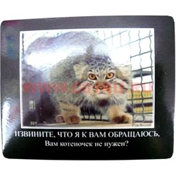 Картинка-прикол "Котеночек" - фото 85274
