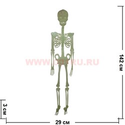 Прикол "Скелет светящийся" 150 см - фото 86050
