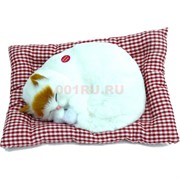 Кошечка спящая на подушке со звуком