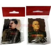 Магнит Жуков, Сталин