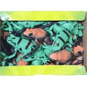 Резиновая игрушка «Лягушка» 36 шт/уп