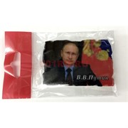 Магнит керамический (MS-85) «Владимир Путин»