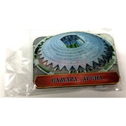 Монеты металлические (MS-130) «Самара Арена»