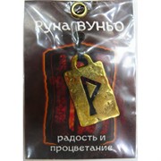 Руна Вуньо металлическая радость и процветание