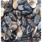 Кабошоны 15x30 капля из коричневого цветного агата