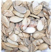 Кабошоны 15x30 капля из песочной яшмы