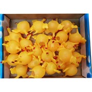 Игрушка «курица с яйцом» 24 шт/уп
