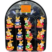 Магниты Кролики (KL-4209) музыканты 24 шт/упаковка