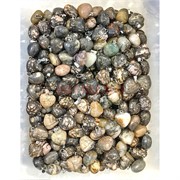 Сердце 15x15 мм из родонита