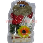 Домовой денежный со шкатулкой