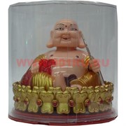 Хотей в коробочке