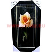 Картина в ассортименте (С11) 55х30 см, цена за 20 шт
