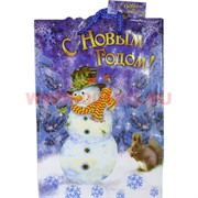Пакет подарочный новогодний 14х20 см (рисунки в ассортименте)