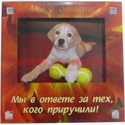 Магнит-фоторамка в ассортименте, цена за 10 шт