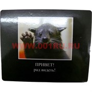 Картинка-прикол "Привет! Рад видеть"