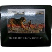 Картинка-прикол "Ты где шлялась, псина?!"