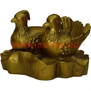 Утки-мандаринки из полистоуна (HN-524) 80 шт/кор