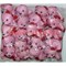 Мишки с сердечками 5 цветов 36 шт/упаковка - фото 113687