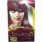 Хна для волос Silky Shine бордовая (7 уп X 12 гр) - фото 140402