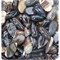 Кабошоны 15x30 капля из коричневого цветного агата