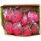 Антистресс «Dragon Fruit» новая серия 8 шт/упаковка - фото 196681