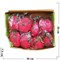 Антистресс «Dragon Fruit» новая серия 8 шт/упаковка - фото 196682