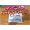 Брелок резиновый (LJ-1046) фигурка капибары 12 шт/упаковка - фото 209036