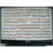 Кольцо металлическое (KL-2317) золото и серебро с перламутром 100 шт/упаковка - фото 224924